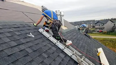 Insured Roofs - Arlington Branch