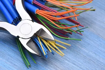 Praxis Electrical Inc