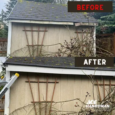 Ace Handyman Services