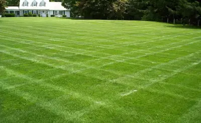 Salish Maintenance, LLC