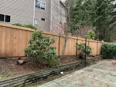 D-Man’s Construction Painting and Repairs