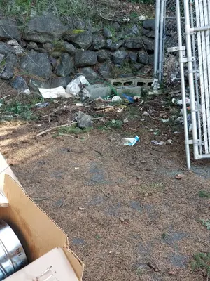 Burien Natural Gas Services