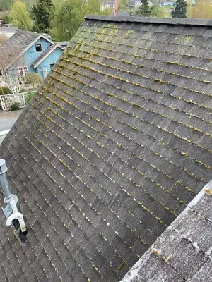 Green Roof and Gutter Cleaning, Bellingham