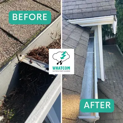 WHATCOM GUTTER & ROOF CLEANING