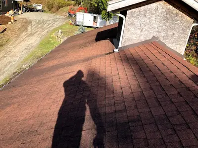 Bellingham Window And Gutter Cleaning Service