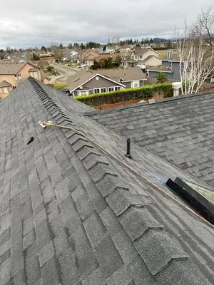New Life Roofing LLC