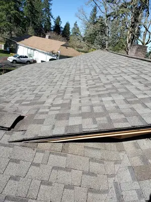 Thurston Roofing & Construction