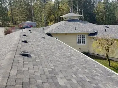 Black Diamond Roofing INC