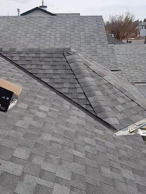 Olympia Roofing Contractors