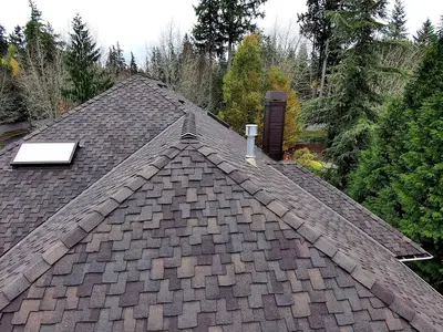 Orca Roofing & Exteriors
