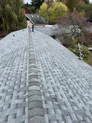 Astro Roofing