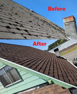 Dependable Roofing
