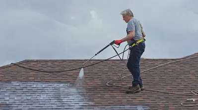 Roof Renew NW
