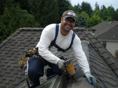 Alpine Roof Care