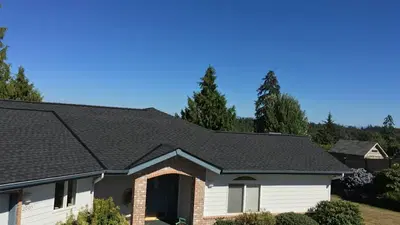 Pro-Long Roof Care
