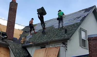 Polar Bear Exterior Solutions