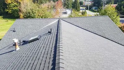 Absolute Roofing