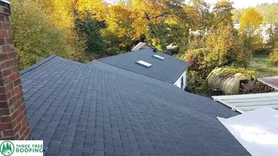 Three Tree Roofing