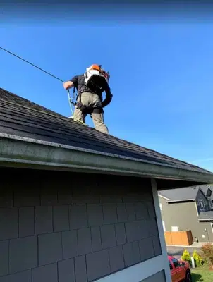 Rainier Window, Roof Cleaning, Moss Removal & Gutter Cleaning