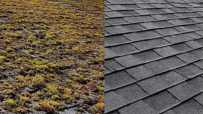 Seattle Shine Roof Cleaning Seattle | Roof Moss Removal Seattle | Roof Moss Cleaning Seattle