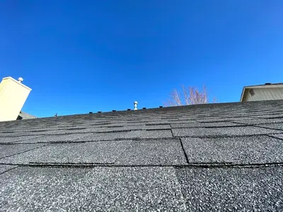 IBEX Roof