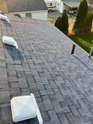 Dynasty Roofing