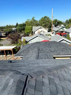 Avidus Roofing