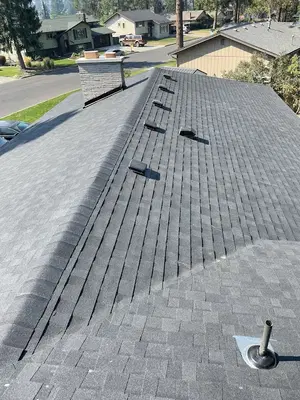Dynasty Roofing