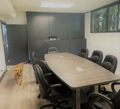 Business Photo