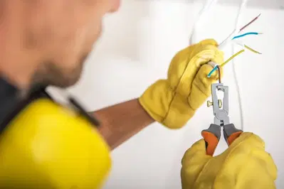 Denys Electric
